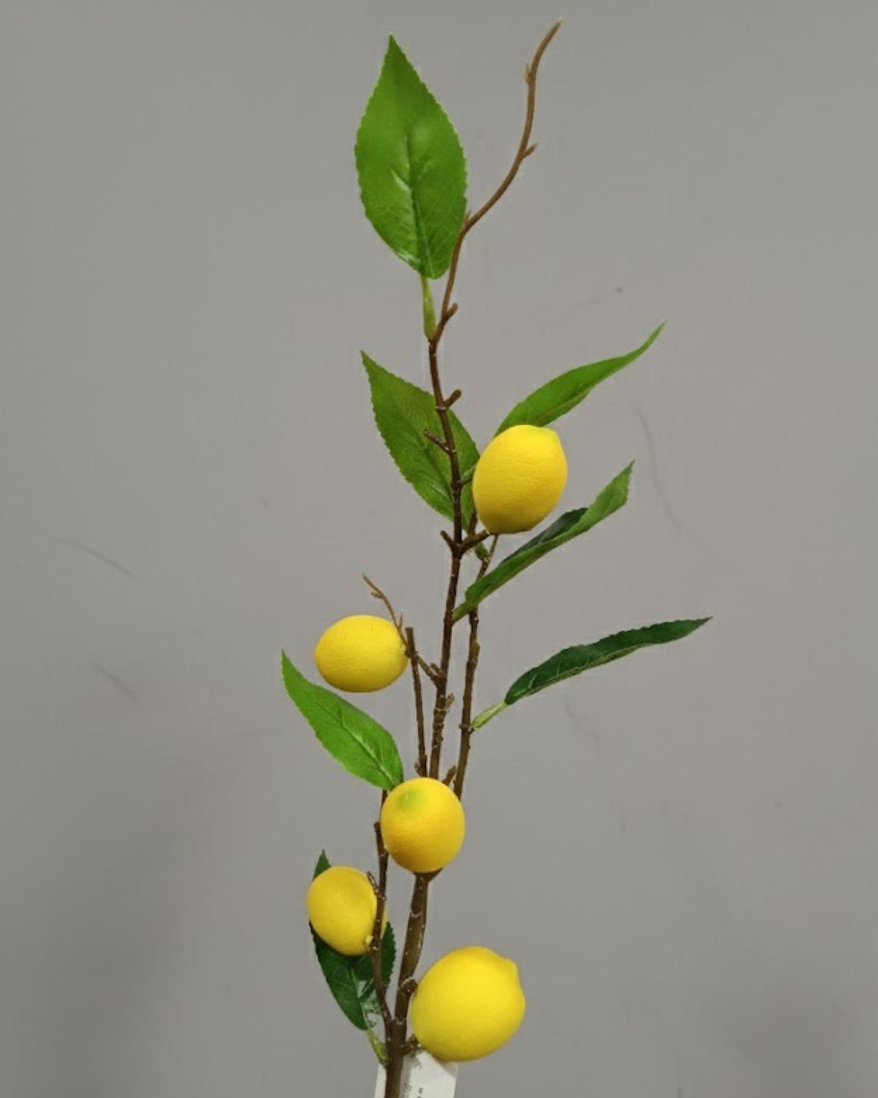 RAMA DE LIMON #2 - MarkoRegalos