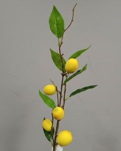 RAMA DE LIMON #2_1