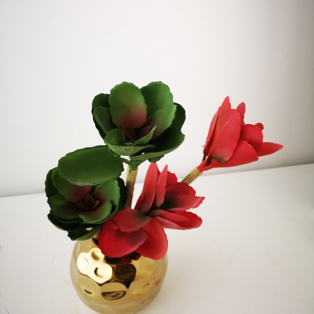 FLOR SUCULENTA FIRE_1