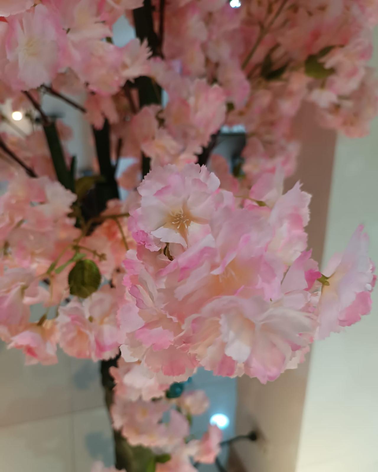 ÁRBOL DE CEREZO ROSADO_2