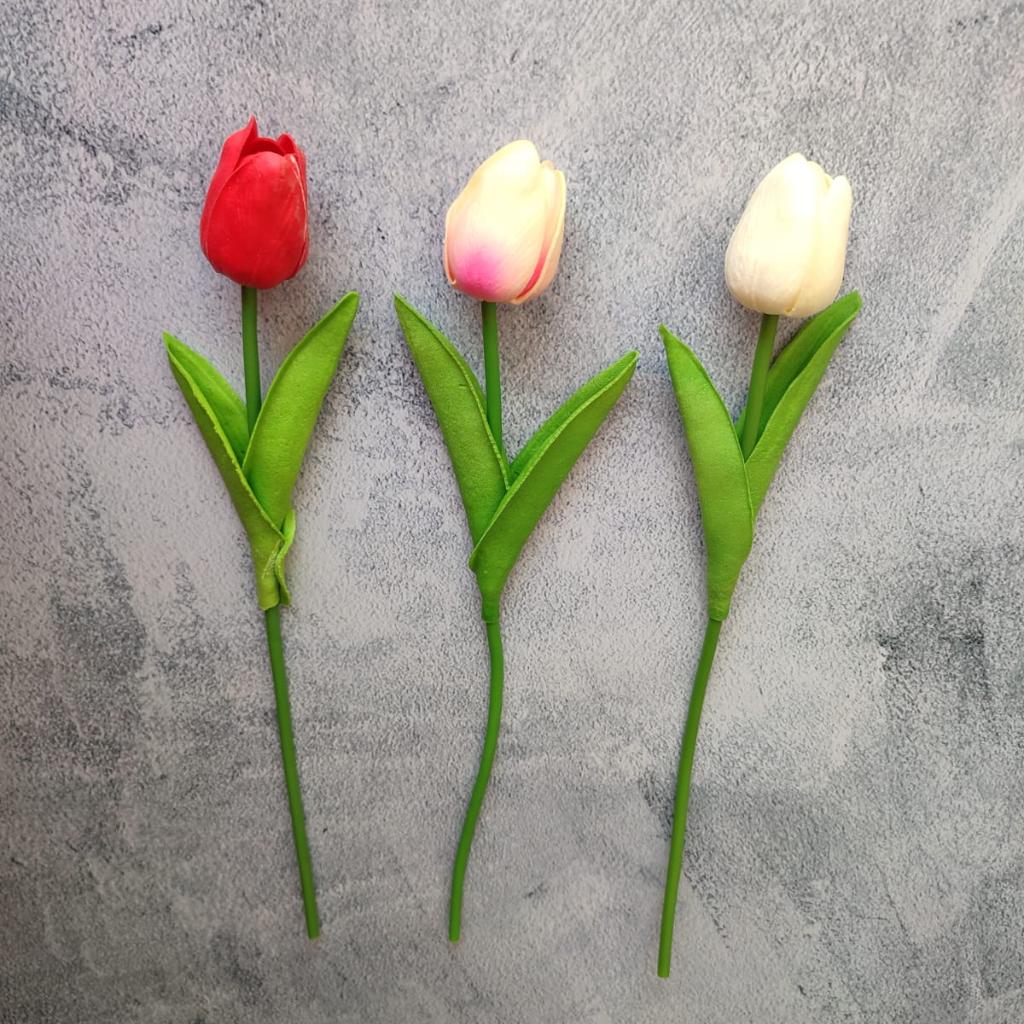 TULIPANES SWEET - MarkoRegalos