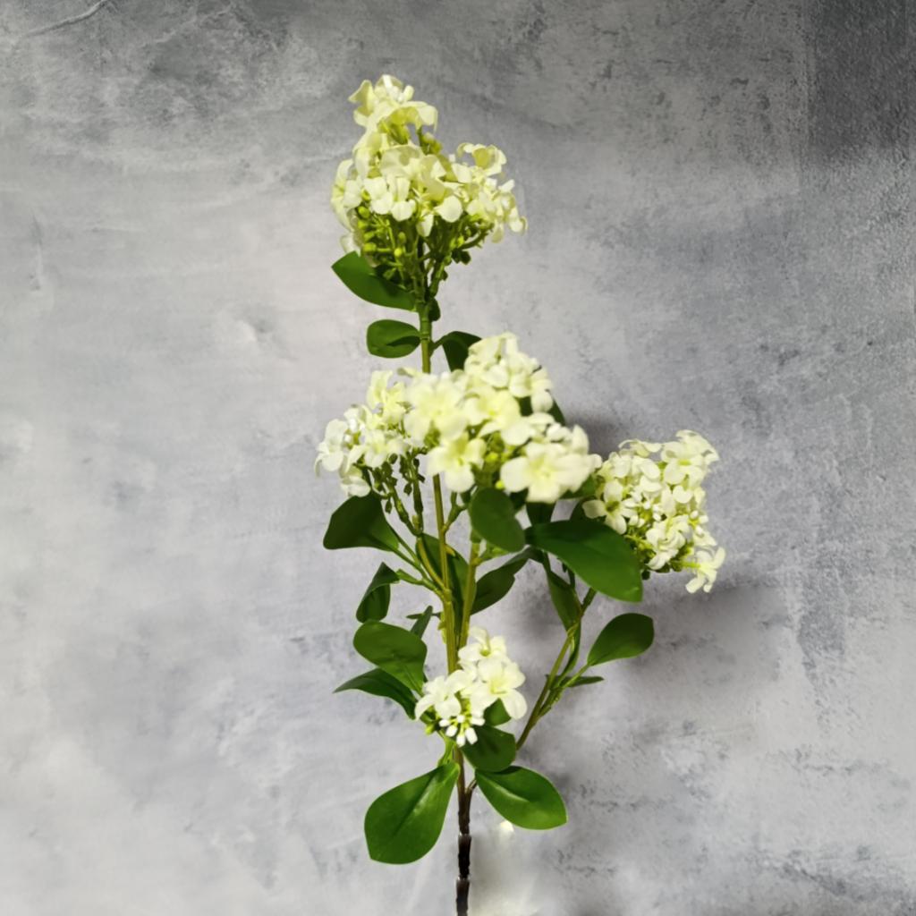 RAMA AZHAR  - MarkoRegalos