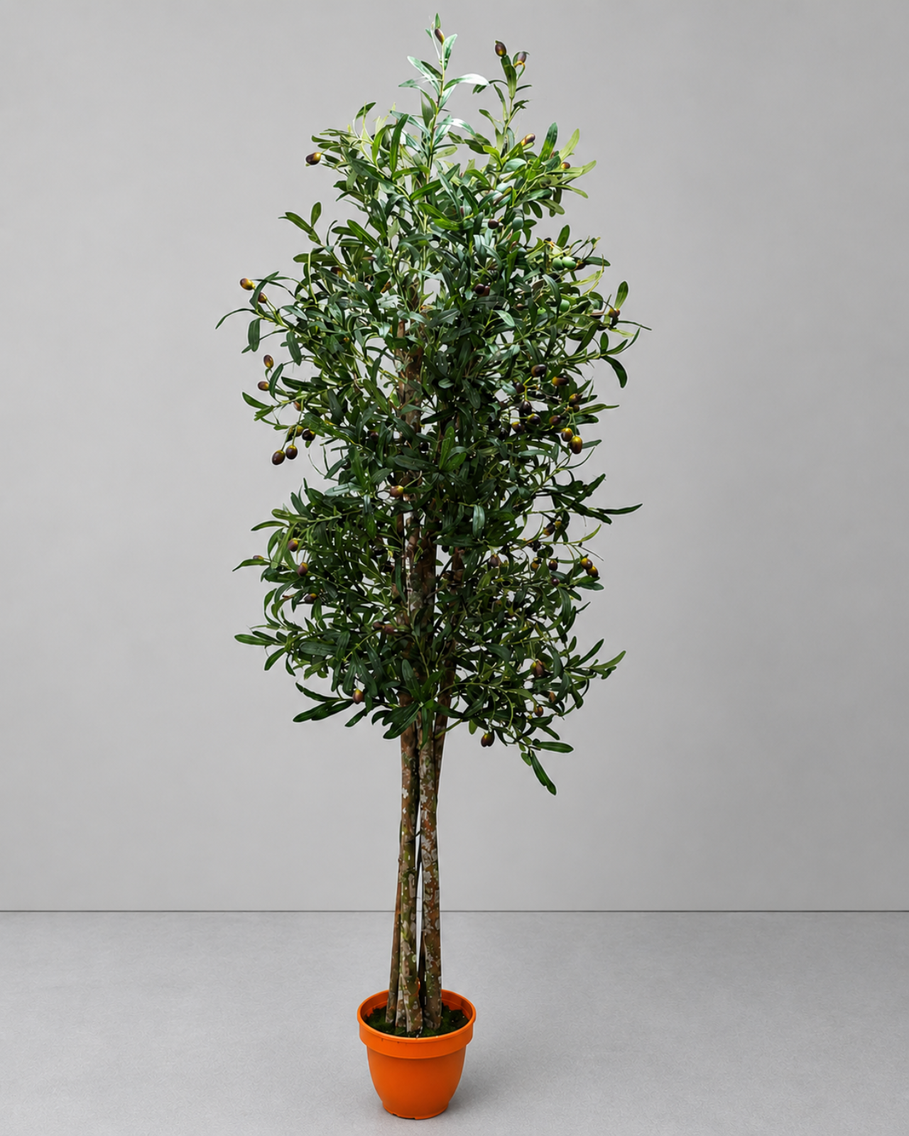 ÁRBOL DE OLIVO 150CM - MarkoRegalos