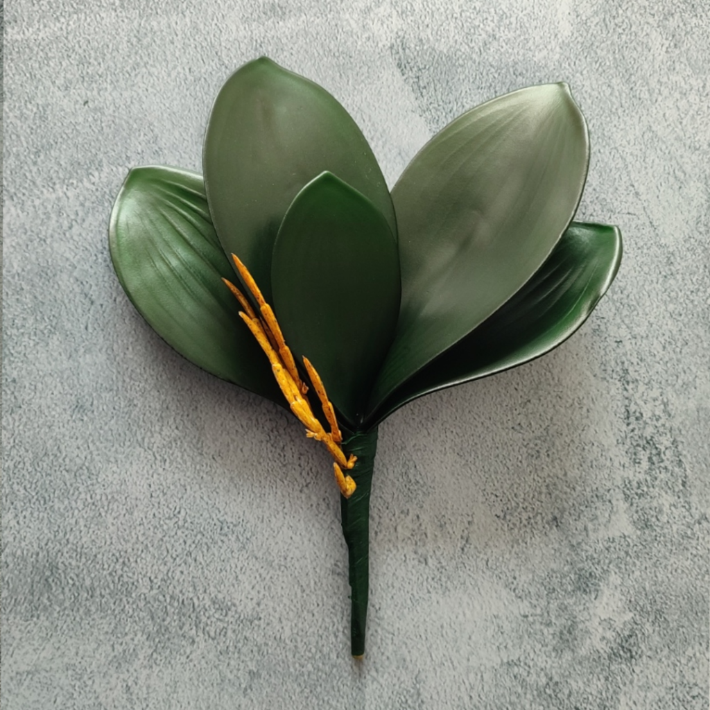 HOJA DE ORQUIDEA_1