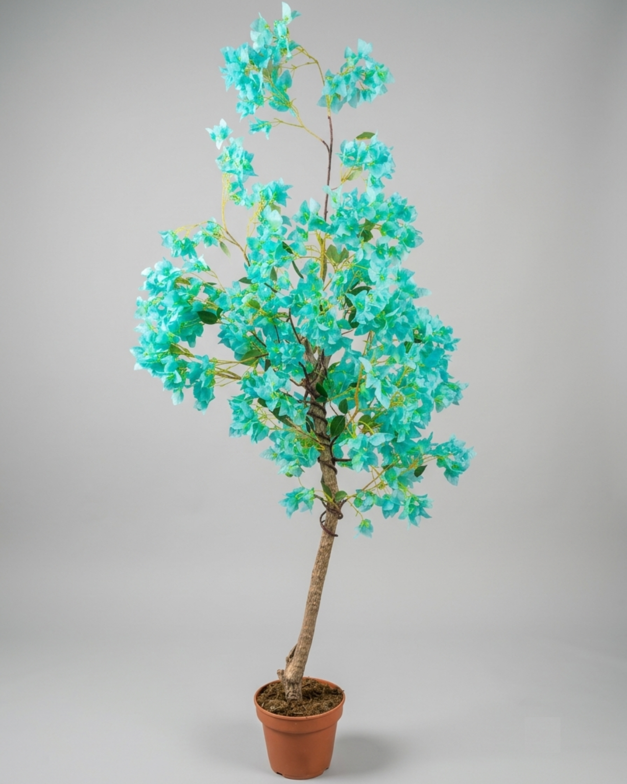 ÁRBOL TRINITARIO AZUL 190CM - MarkoRegalos