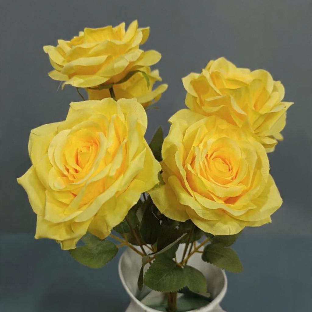 ROSA DEL JARDIN X6_2