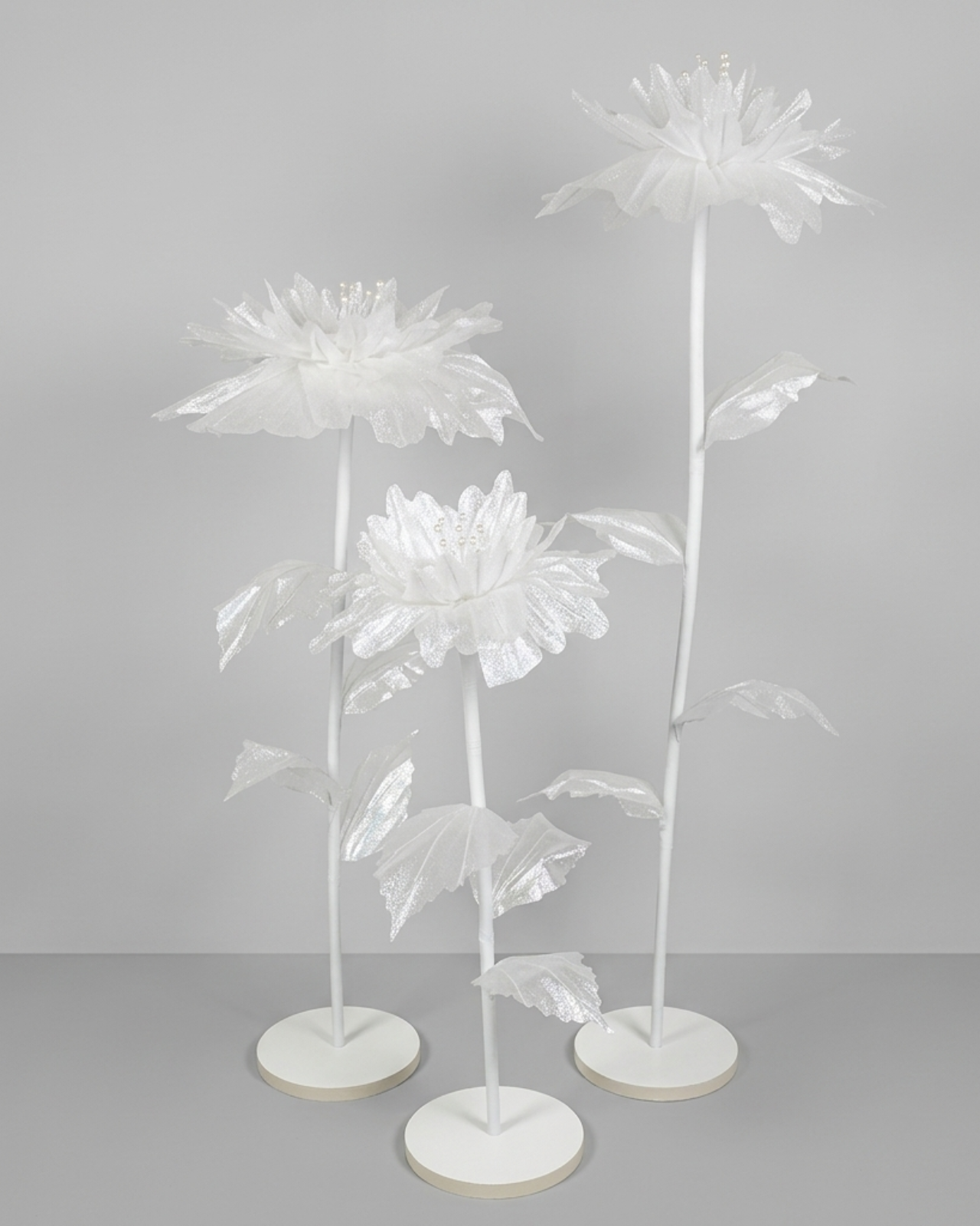 FLOR MARGARET - MarkoRegalos
