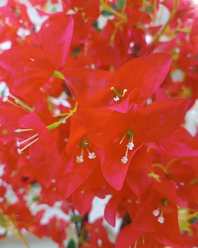 ÁRBOL TRINITARIO ROJO 180CM_2