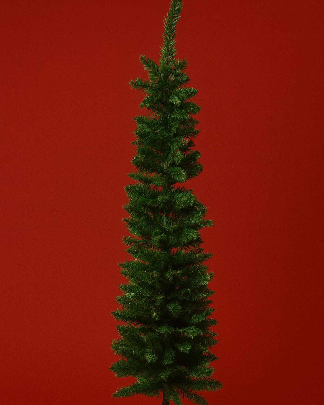 ÁRBOL AGUJA _1