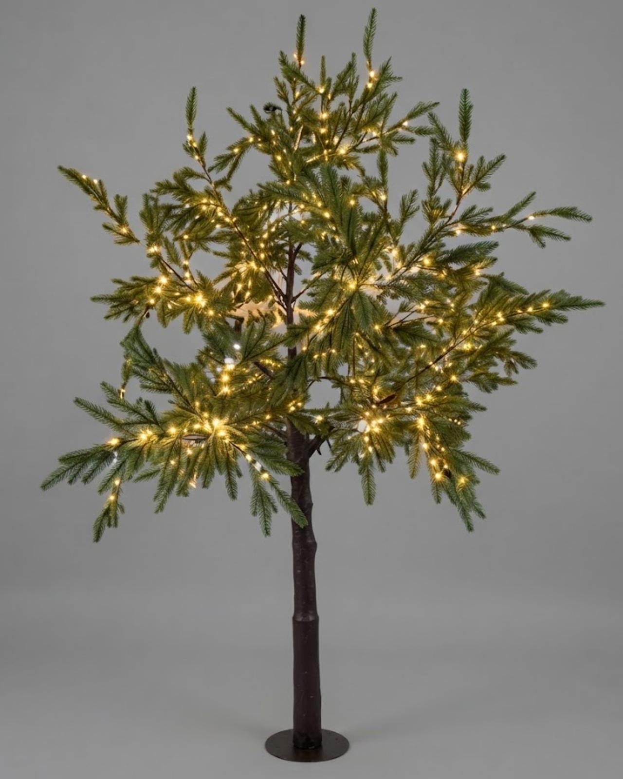 ÁRBOL ENCANTADO_1